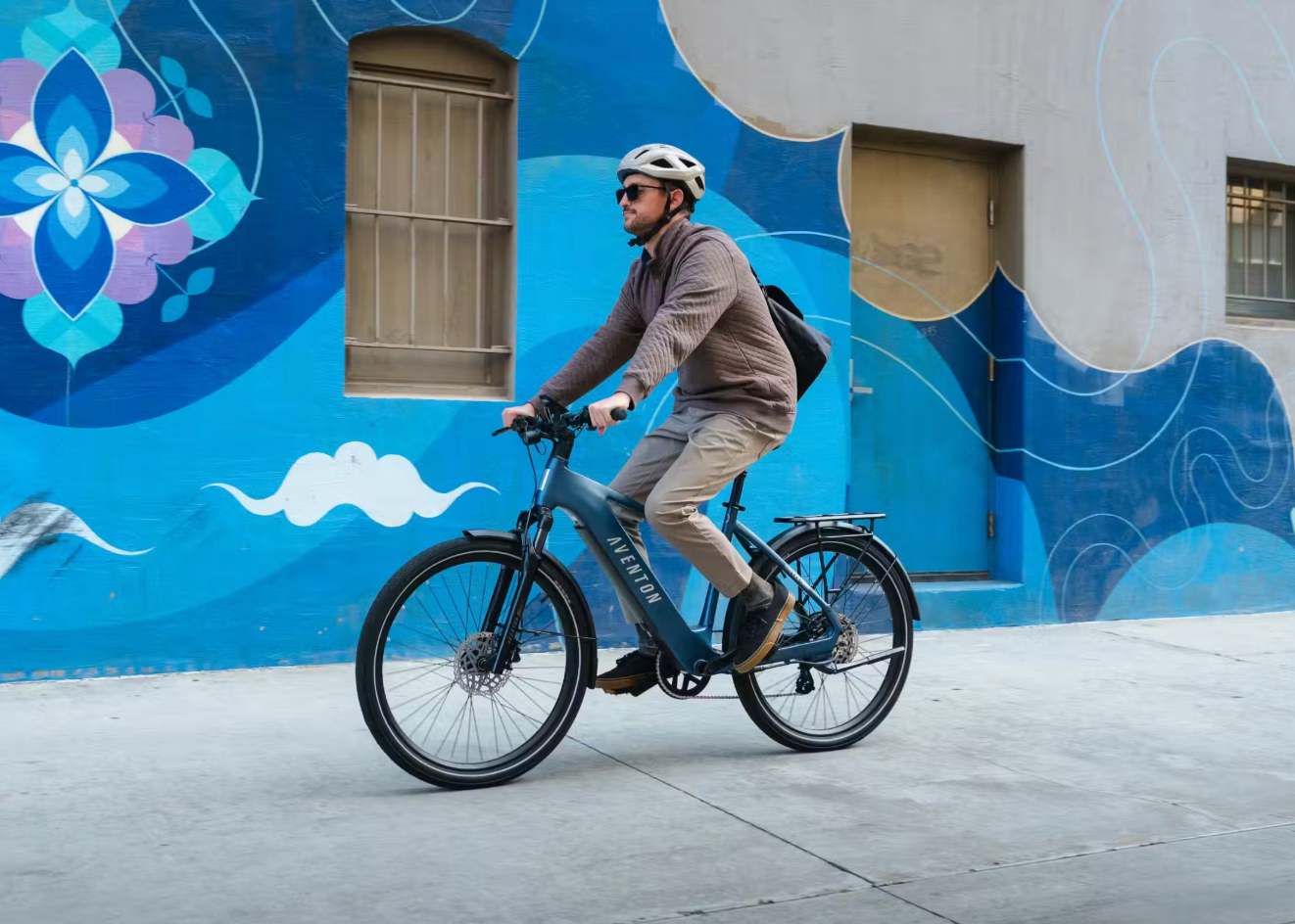 electric bicycle sidecar SoverSky Titan 01 E-Bicycle with Sidecar